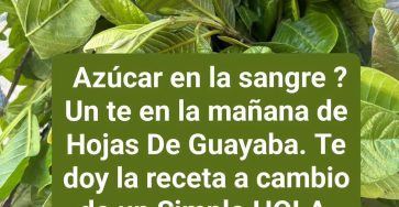 648636538 2745986422424253 3733033592937119732 n