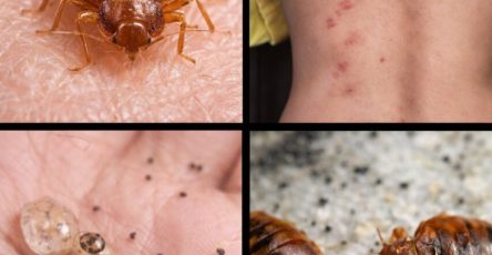 648736053 924637363885752 7170820634039590098 n 853x1024