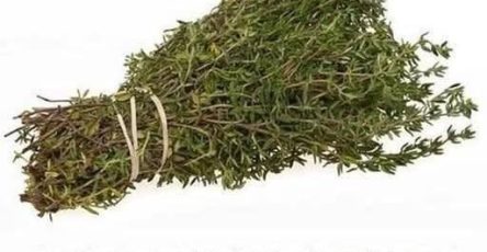 649210501 907730601874356 7912988817864628653 n