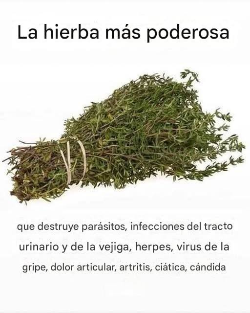 649210501 907730601874356 7912988817864628653 n