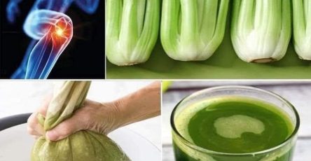 649281584 1445503416977395 1662027471890005199 n