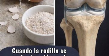 649694896 1212480347534444 6163346379331741895 n (1)