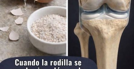 649694896 1212480347534444 6163346379331741895 n (1)