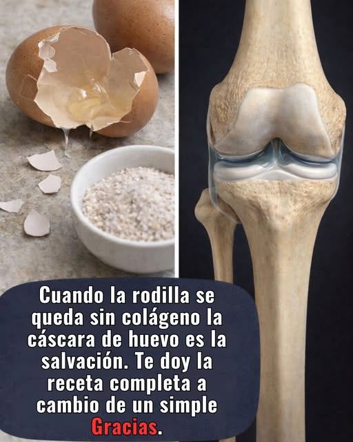 649694896 1212480347534444 6163346379331741895 n (1)