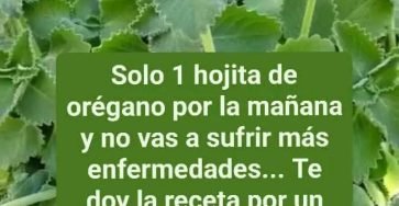 649832949 1681657836546891 2494839689550090921 n