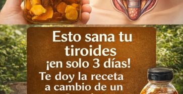 650107541 1563960238592589 291808778637775749 n