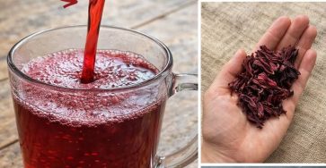 650958679 909089098772075 1028913344487373637 n