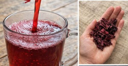 650958679 909089098772075 1028913344487373637 n