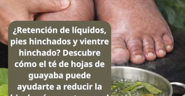 651061843 1564842165171063 8615004076938286186 n