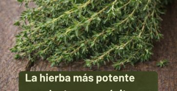 651246264 1564167281905218 582796779576356249 n