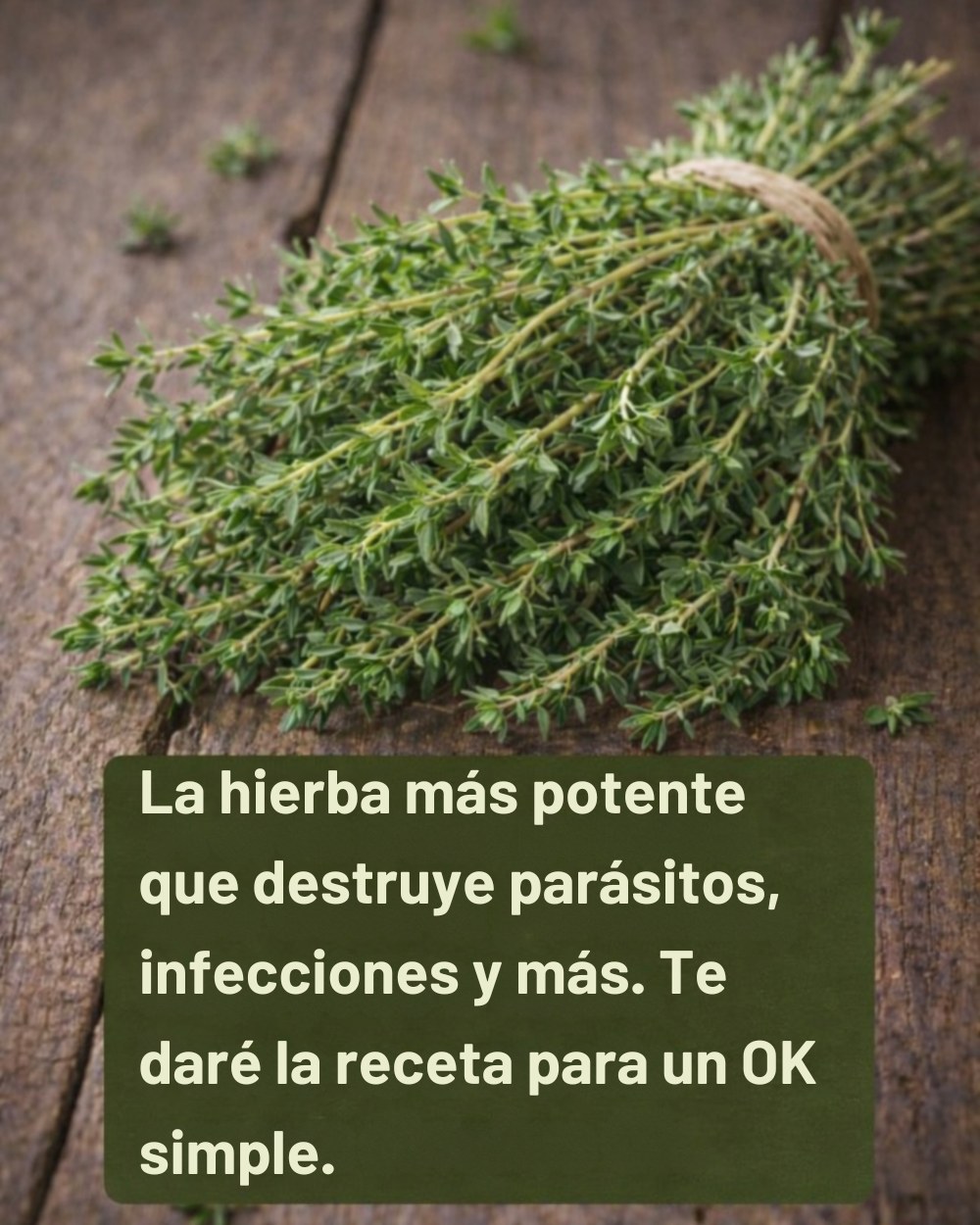 651246264 1564167281905218 582796779576356249 n