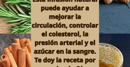 651262390 1566911374964142 7085336717632911173 n