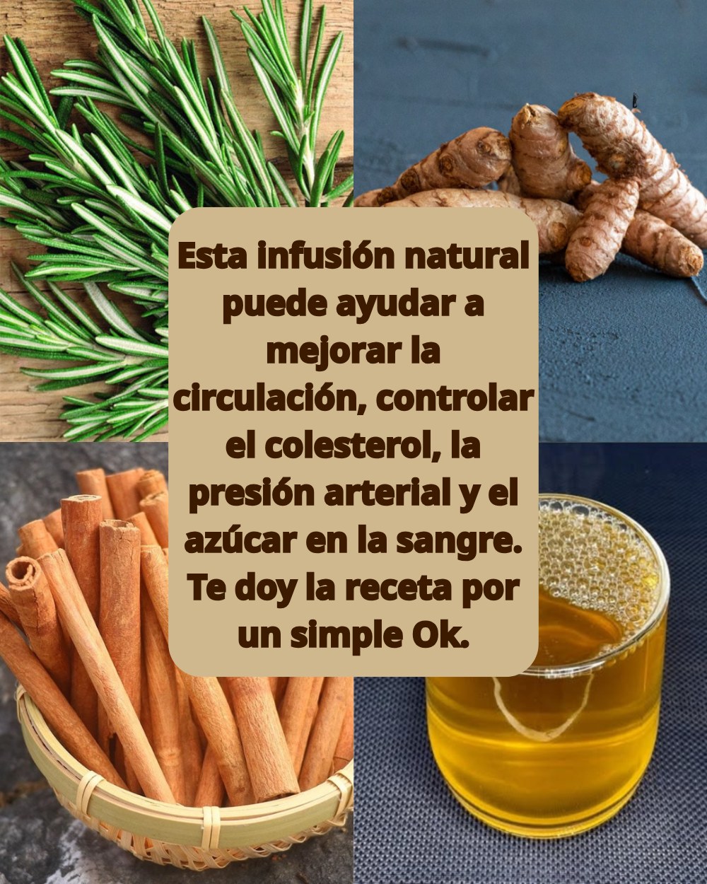 651262390 1566911374964142 7085336717632911173 n