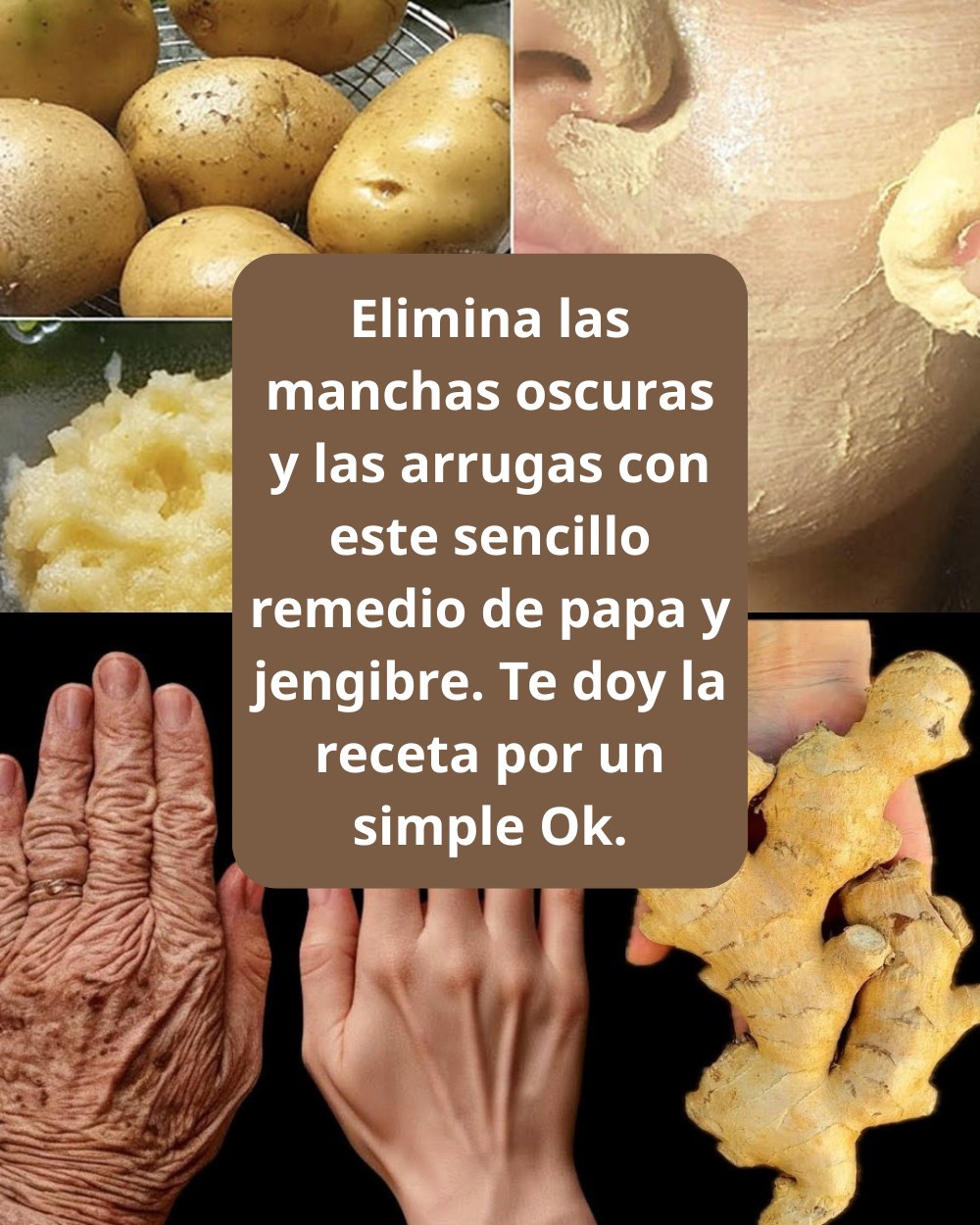 651766966 1566503385004941 787284323072664822 n