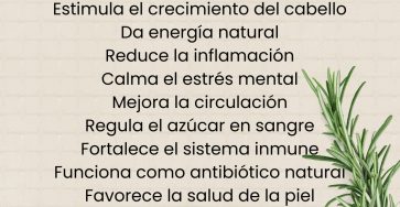 651886445 122156595890958793 1117881279559426763 n