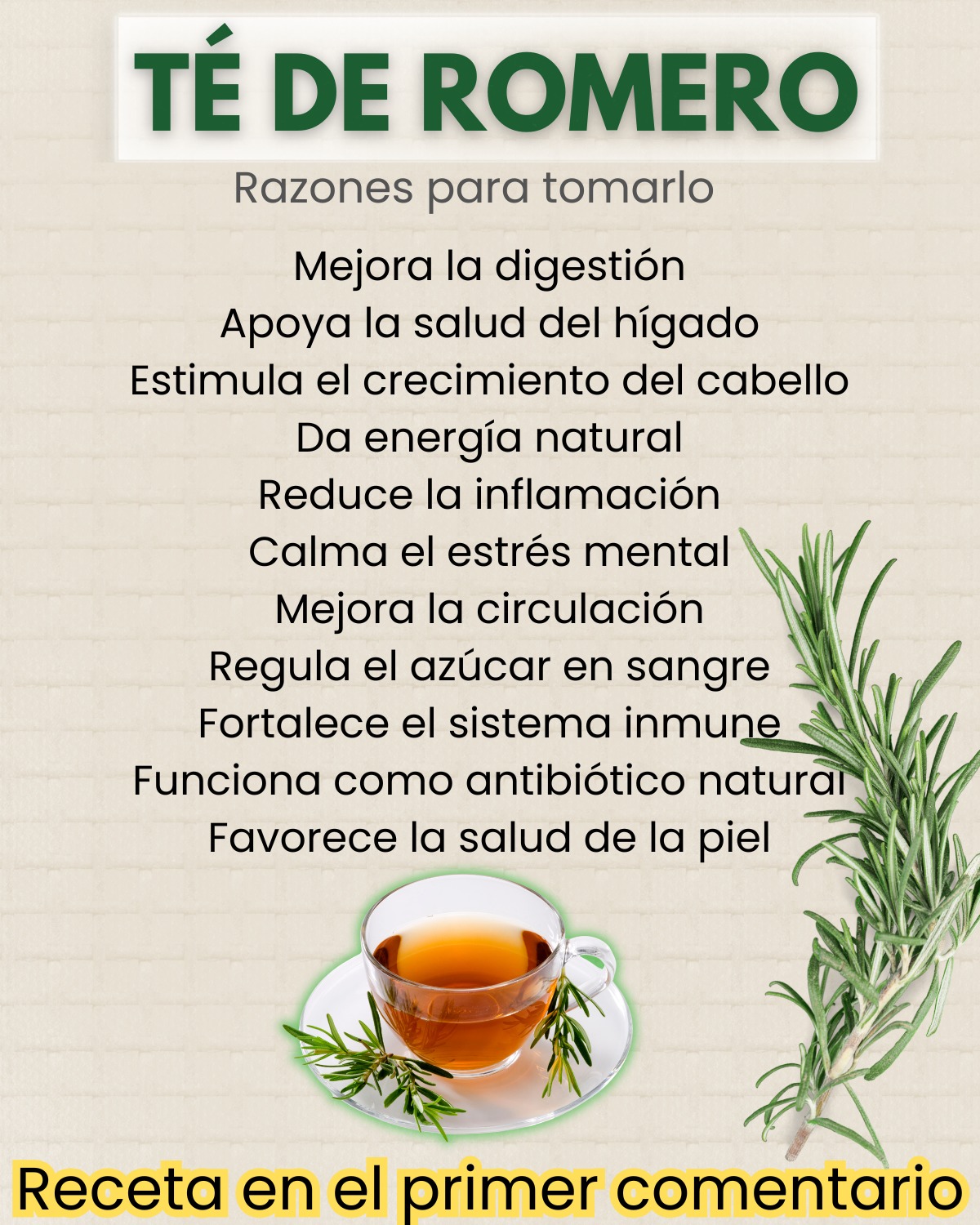 651886445 122156595890958793 1117881279559426763 n