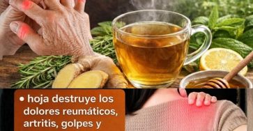 651909819 1567400954915184 6304521135313944624 n