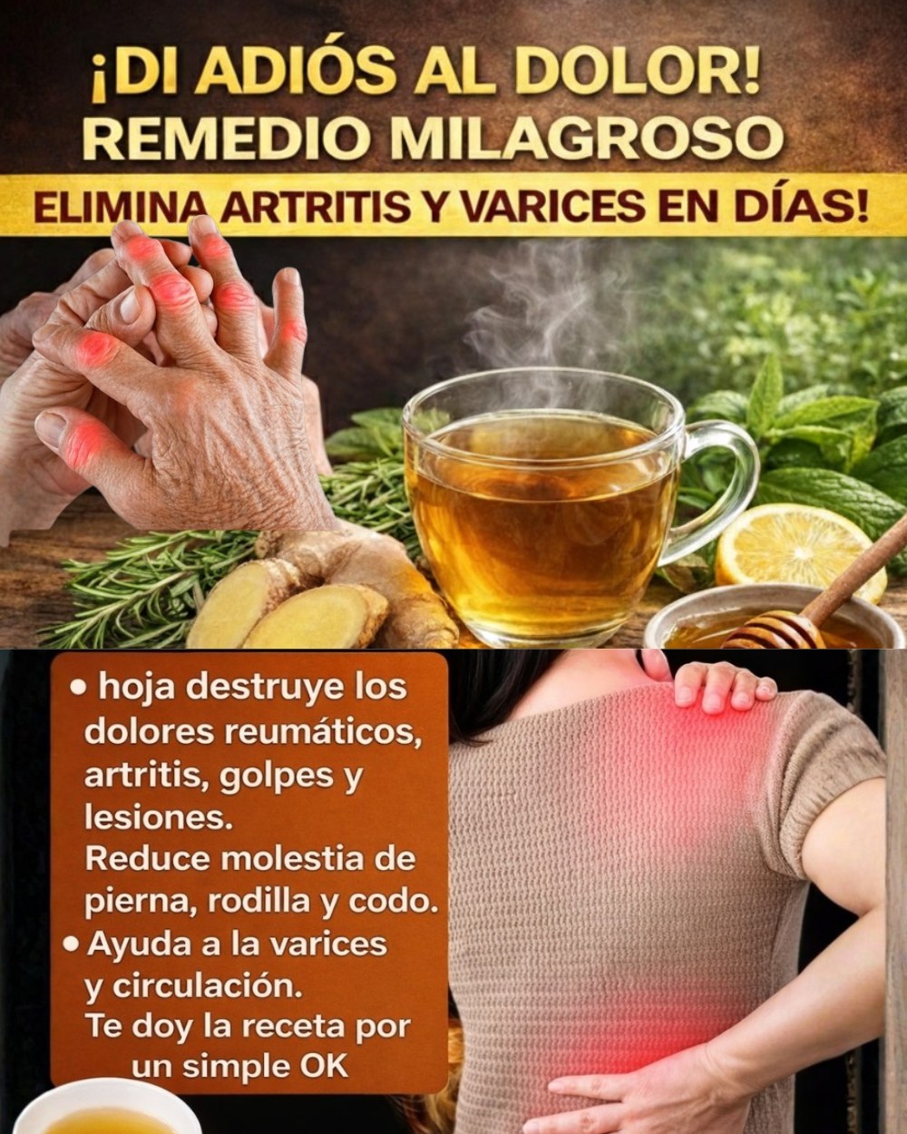 651909819 1567400954915184 6304521135313944624 n