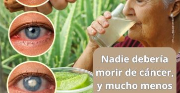 652666136 1566276601694286 4769387047103744207 n