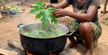 652672647 1567739581547988 6675525481519426436 n