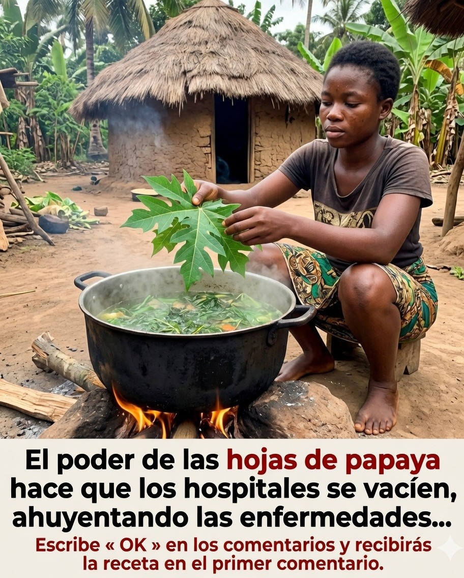 652672647 1567739581547988 6675525481519426436 n