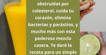 653076870 1567903404864939 5691512401641985259 n