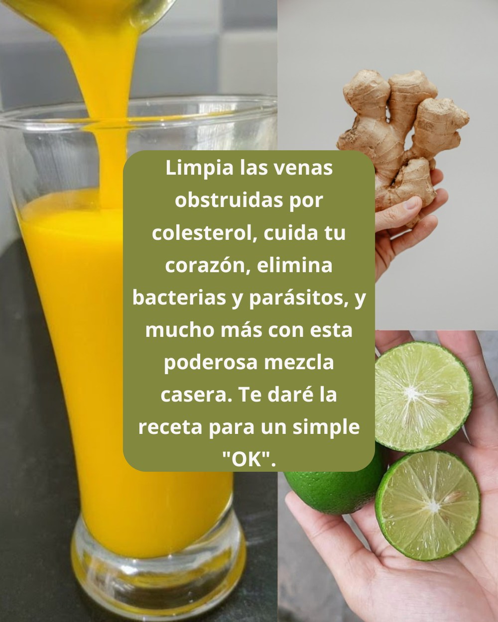 653076870 1567903404864939 5691512401641985259 n