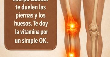 653465603 122157312578973955 6393625282085714228 n