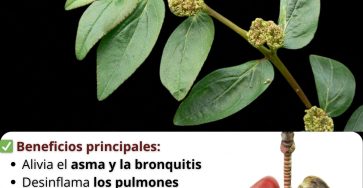 653709938 122156633936958793 4079886156888777168 n