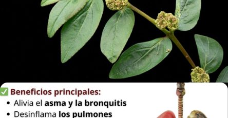 653709938 122156633936958793 4079886156888777168 n