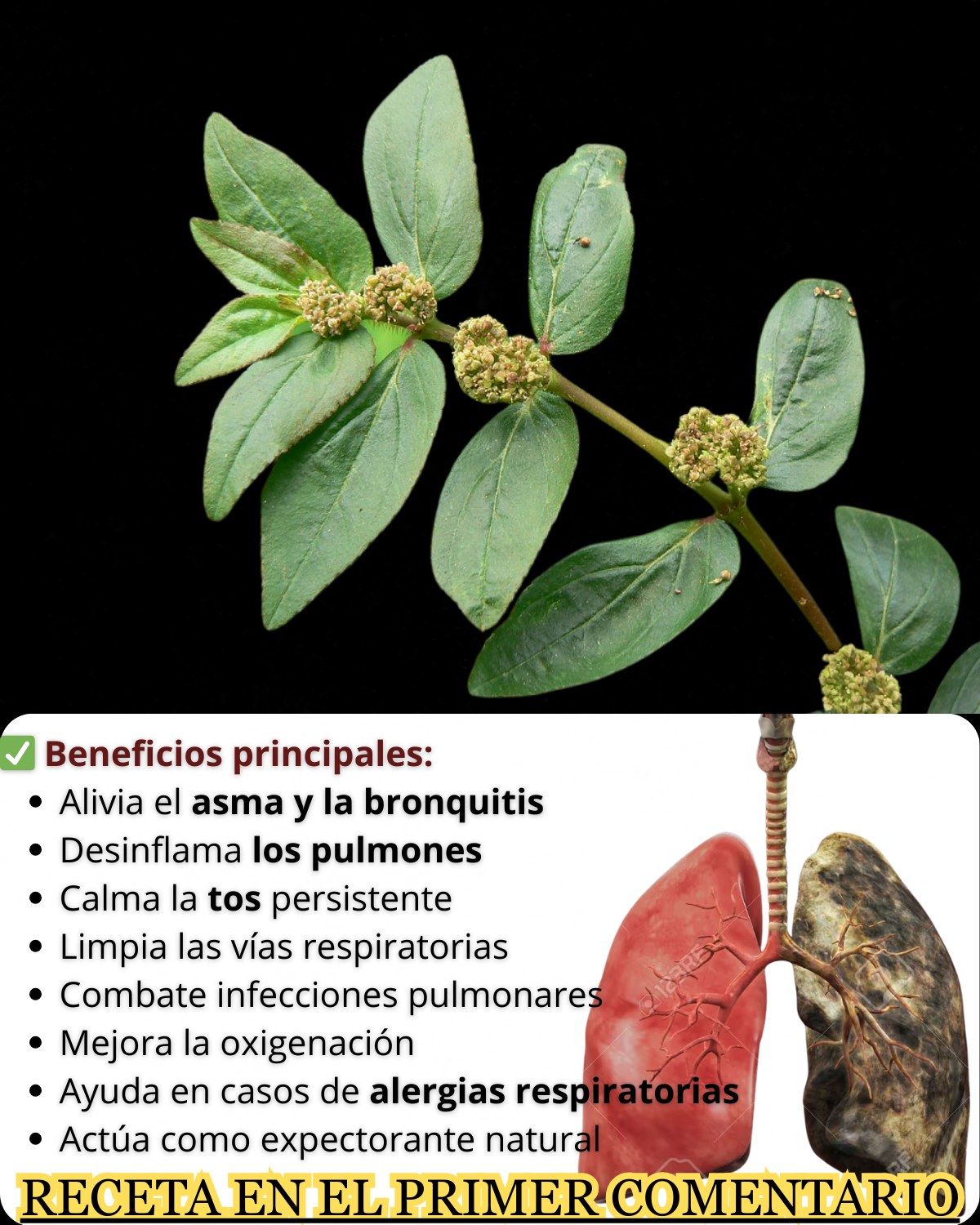 653709938 122156633936958793 4079886156888777168 n