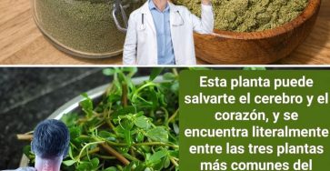 653710865 122160030014943773 1477709047225879094 n