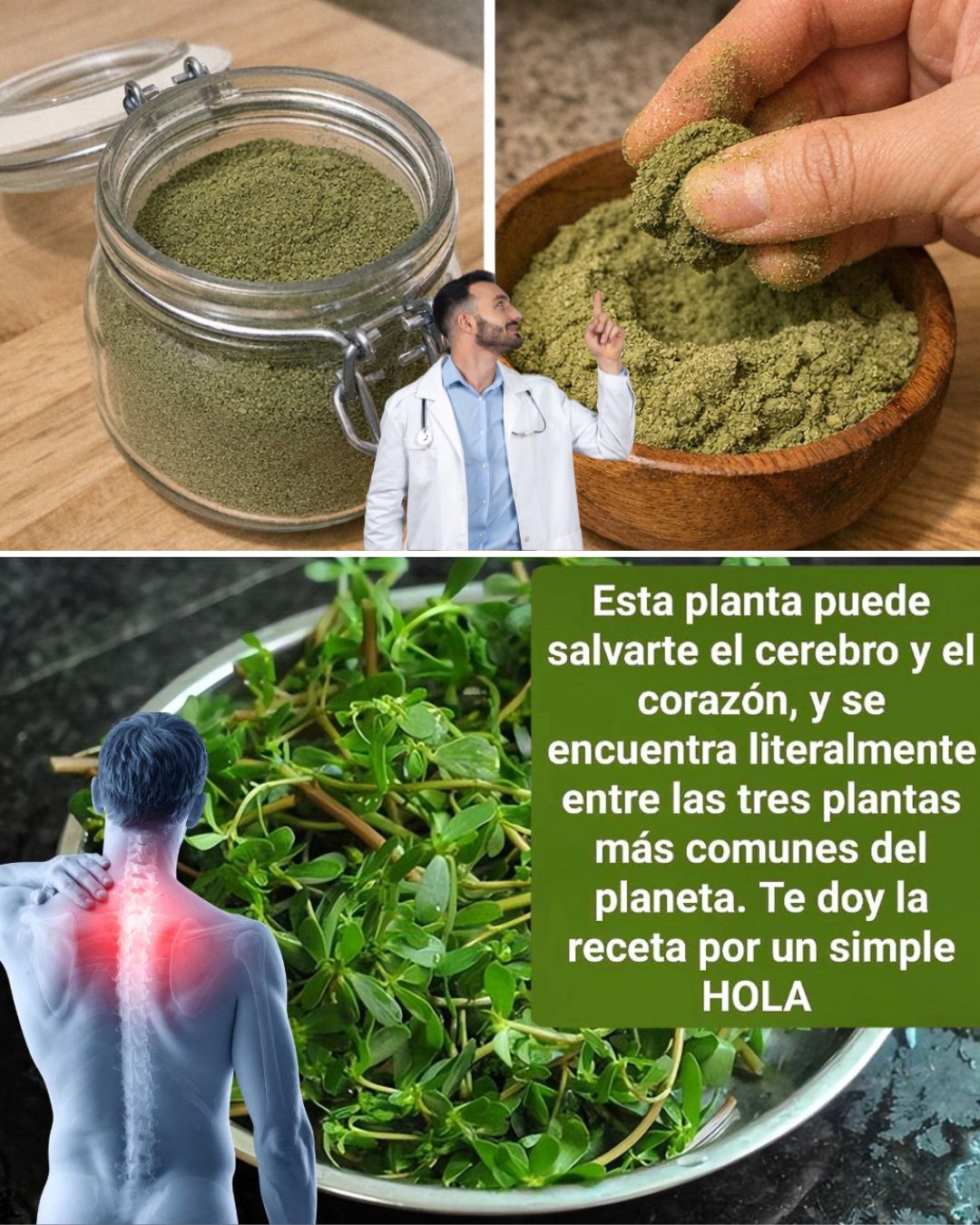 653710865 122160030014943773 1477709047225879094 n