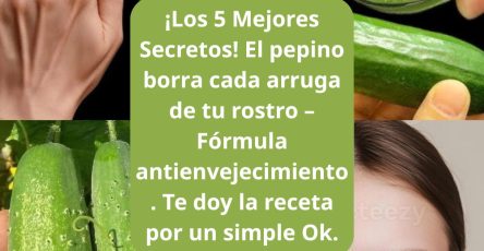 653963605 1569346794720600 8393438189791276612 n