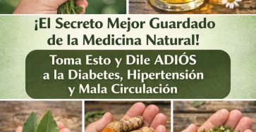 654200971 122159901992943773 8437025214250708116 n