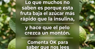 654230425 122160212906943773 1305225135550830472 n