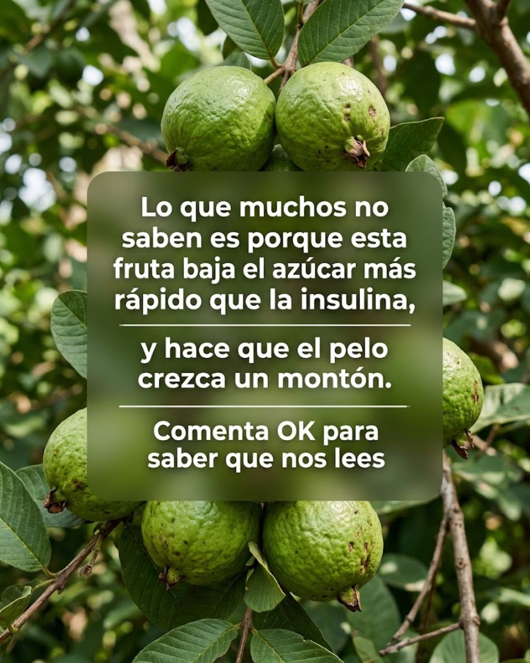 654230425 122160212906943773 1305225135550830472 n