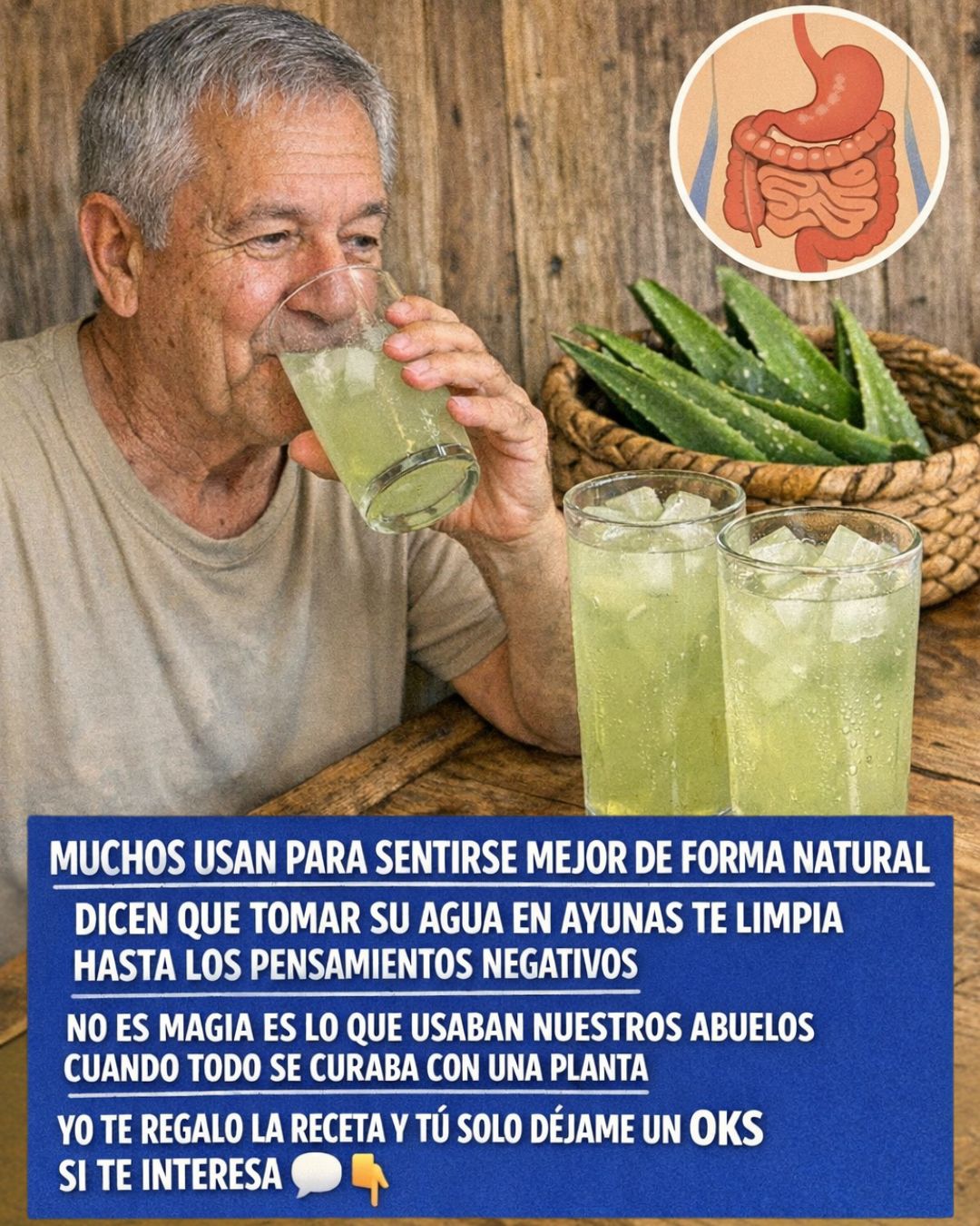 654234212 122160223916943773 1694169944135180622 n