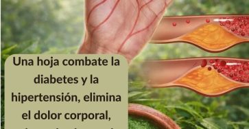 654246502 1567343588254254 928402909319583987 n