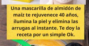 654247665 1568300431491903 8932375864466440742 n