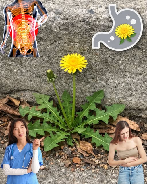 654564691 122150467994971843 8456574275123006056 n