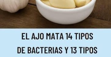 654788138 1478247233961082 5414930514908142437 n