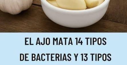 654788138 1478247233961082 5414930514908142437 n