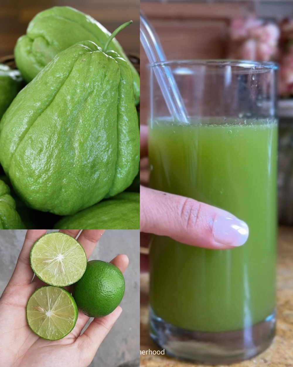 654805056 1568537081468238 4897874894447299367 n