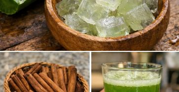 655681332 122157938480973955 6056419586367282634 n