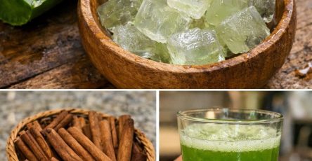 655681332 122157938480973955 6056419586367282634 n