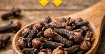 655708751 122160265280943773 7804831600964321382 n