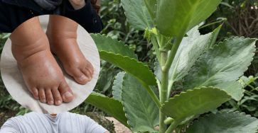 655815320 122160069308943773 138909815414496430 n