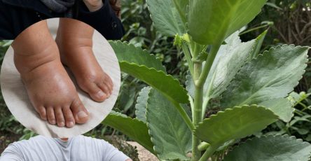 655815320 122160069308943773 138909815414496430 n