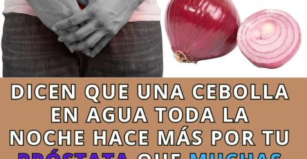 655831363 1541269150763122 4589283375907776961 n